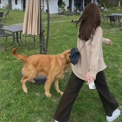 怪血